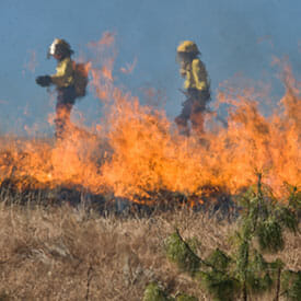 Can You Sue If You Get Burned at Work?